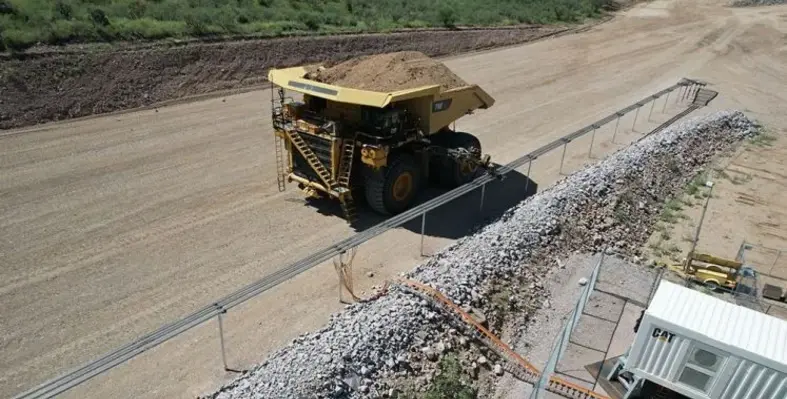 Caterpillar's Cat DET