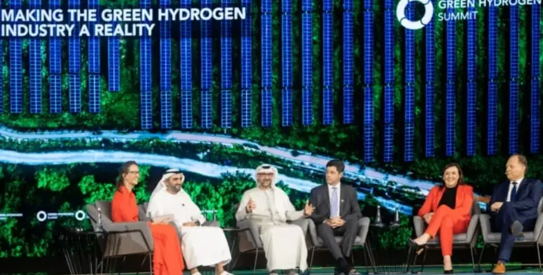 International experts, leaders 